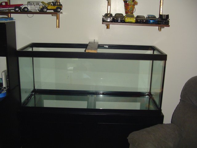 DSC01706.JPG