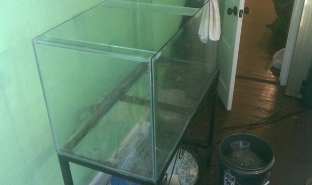 Aquarium 7.jpg