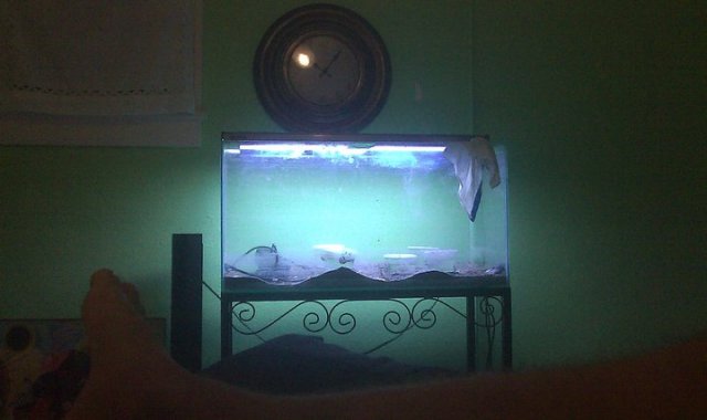 Aquarium.jpg