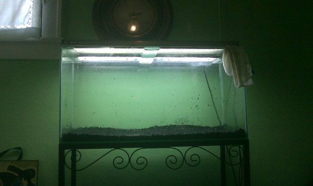 Aquarium 9.jpg
