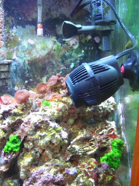 Picture 002.jpg