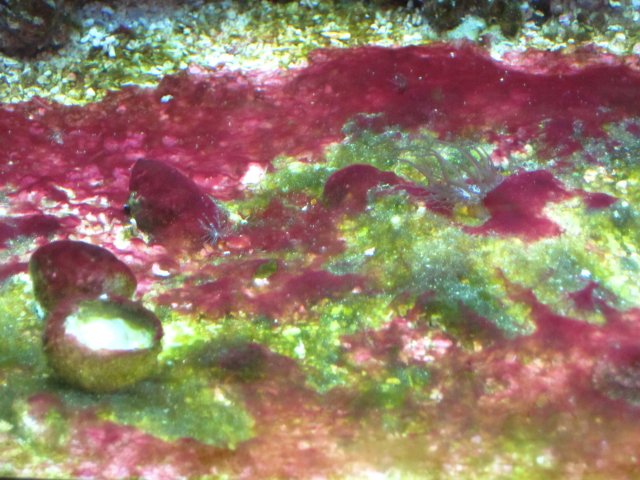 Picture 003.jpg