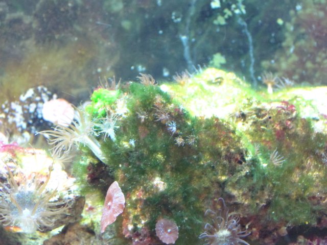 Picture 004.jpg