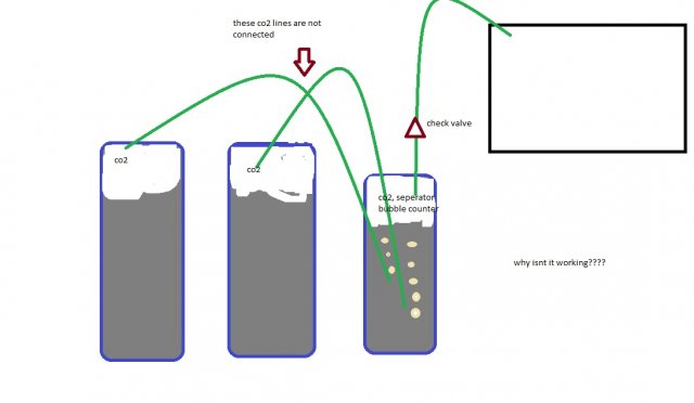 co2 2 bottle.jpg