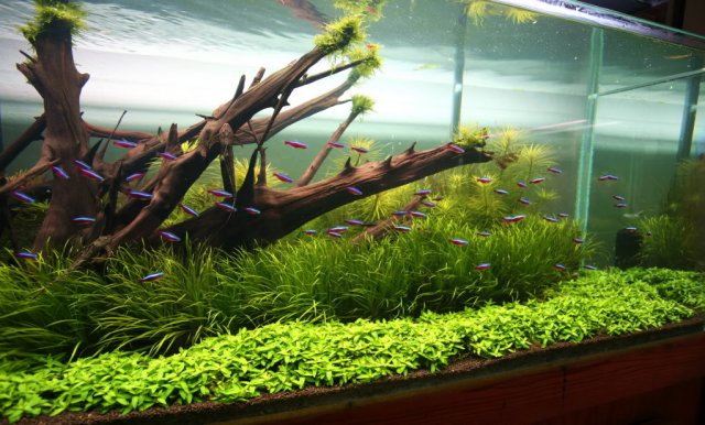 Tom's 180 2-16-10.jpg