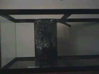 mms_picture_1 (1).jpg mms_picture_1 (1).jpg