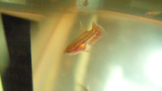 SDC12249.JPG
