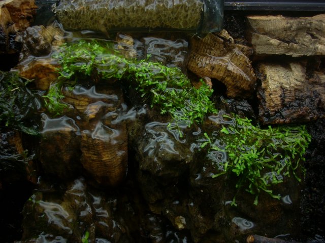 20100810_16.JPG
