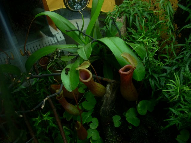 20100609_61.JPG 20100609_61.JPG
