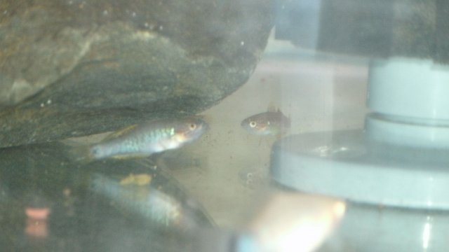 GEDC0119.JPG
