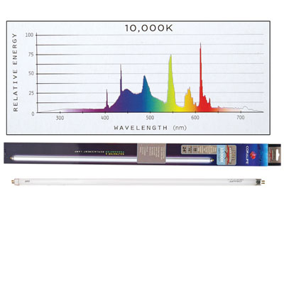 AF80403.jpg AF80403.jpg