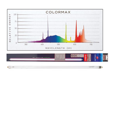 AF80415.jpg AF80415.jpg