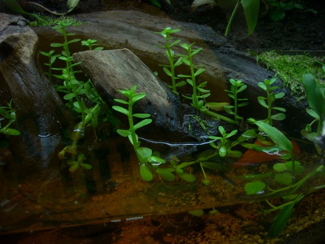20100810_10.JPG