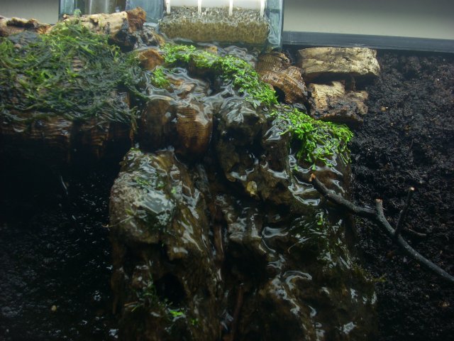 20100810_15.JPG