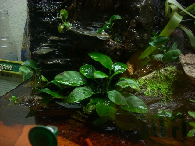 20100810_12.JPG