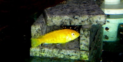 DSCN6182.JPG