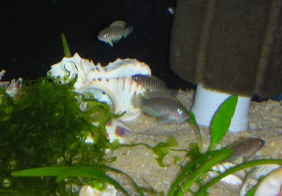DSCN6210.JPG