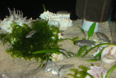 DSCN6214.JPG