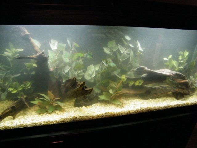 DSCF2230.jpg