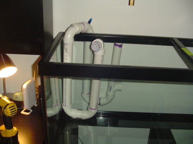 DSC01708.JPG
