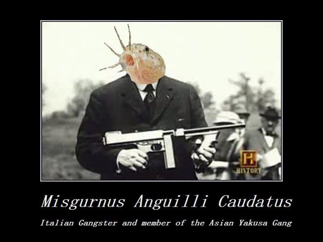 loach gangster.jpg