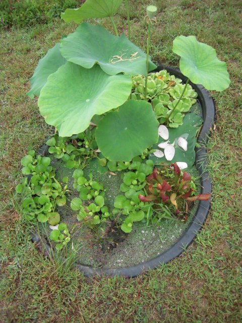 DSCN2580.JPG