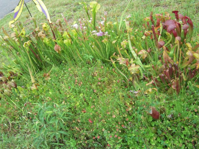 DSCN2581.JPG