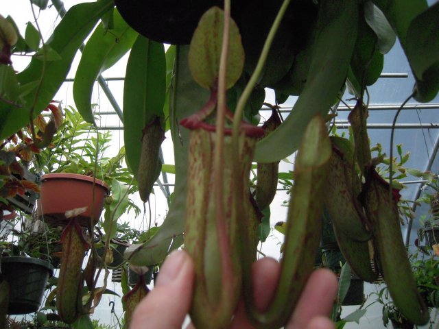 DSCN2584.JPG