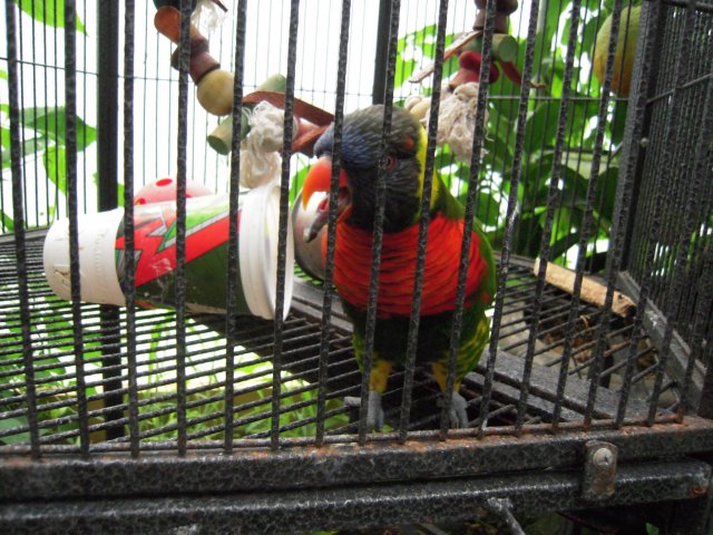 DSCN2586.JPG
