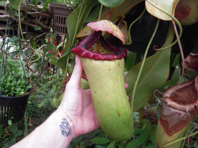 DSCN2587.JPG