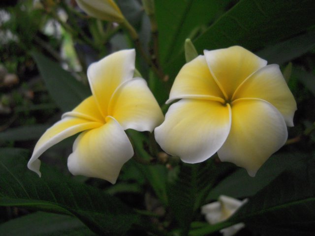 DSCN2588.JPG