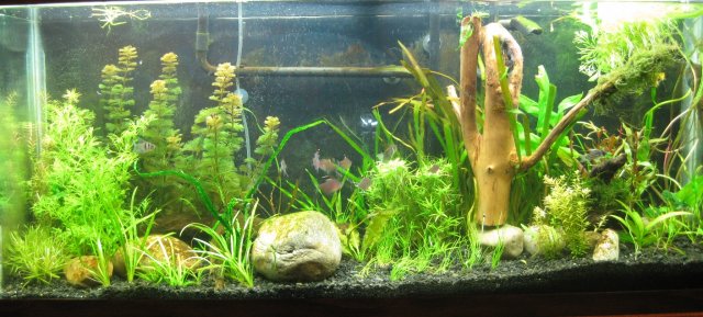 fulltank20100818.jpg