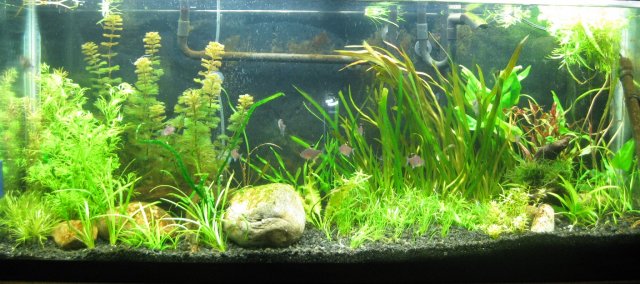 fulltank20100819_sm.jpg