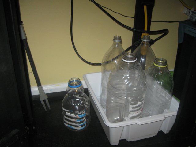 IMG_2790.JPG IMG_2790.JPG