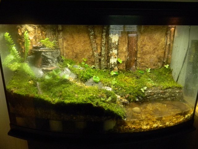 DSCN2845.JPG