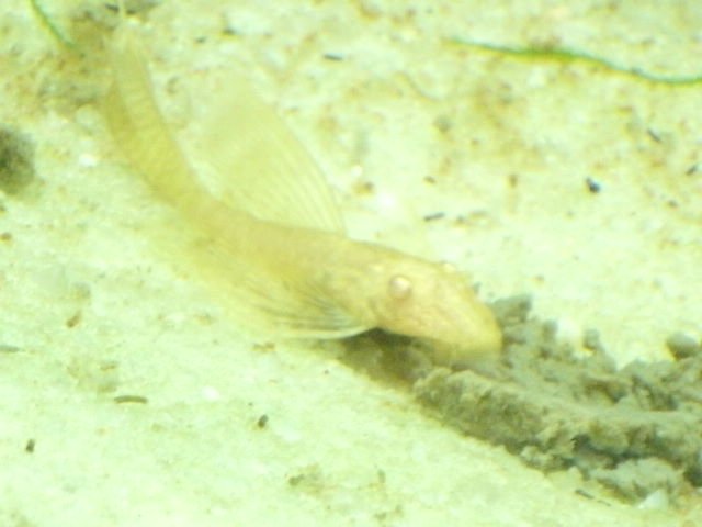 GEDC0377.JPG
