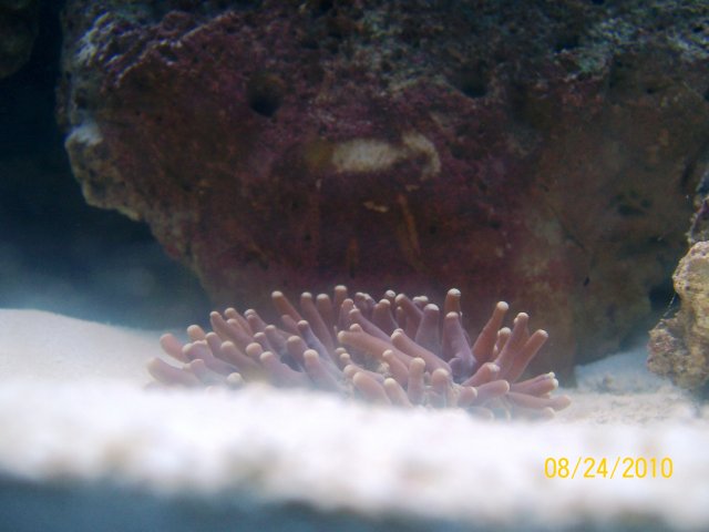 104_0610.jpg