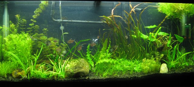 fulltank20100825.jpg