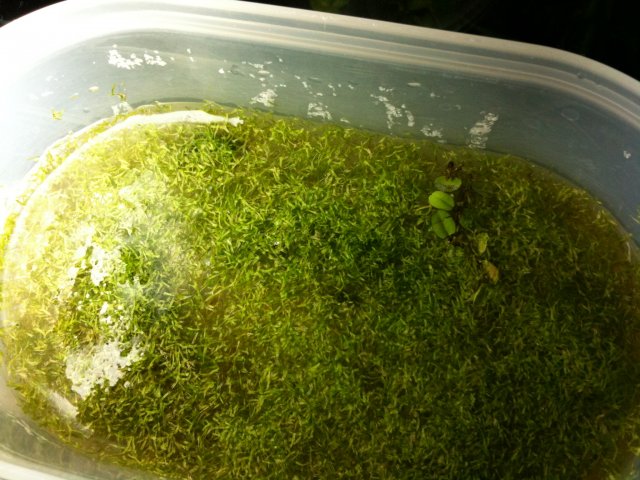 07-31-10 053.jpg
