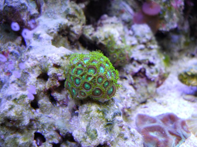 DSCN0317.JPG
