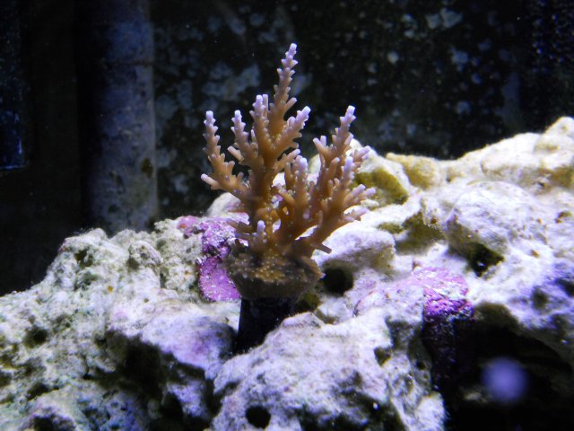DSCN0322.JPG