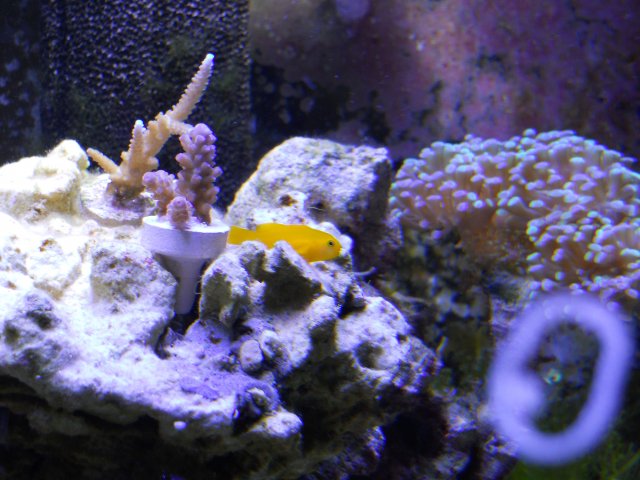 DSCN0326.JPG