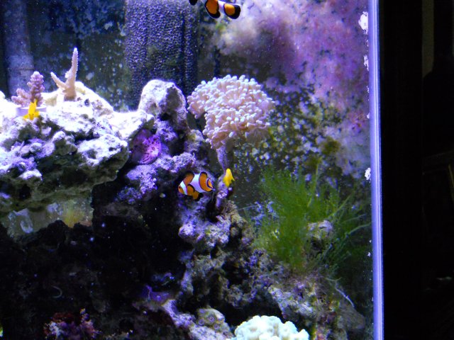 DSCN0336.JPG