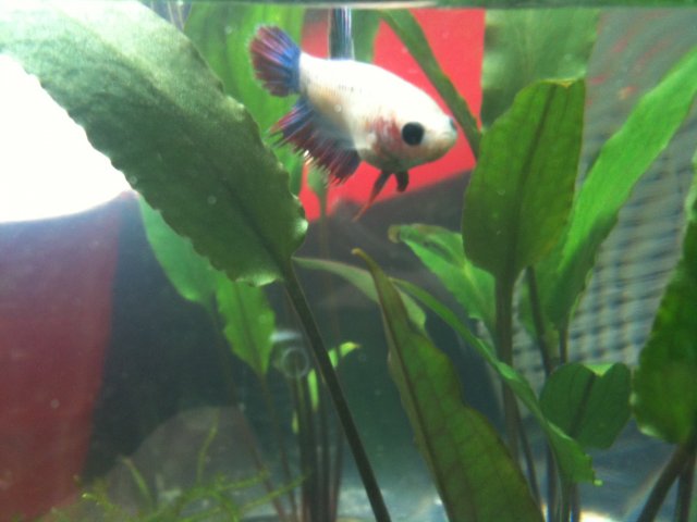 082210 iphone dump 063.jpg