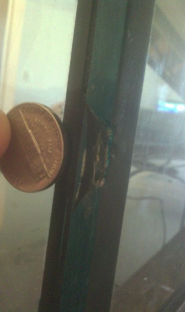 ftchip5.jpg