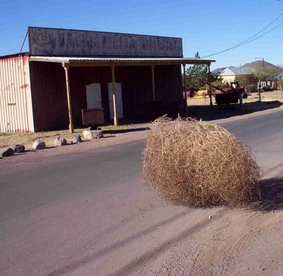 tumbleweed_ghost_town.jpg
