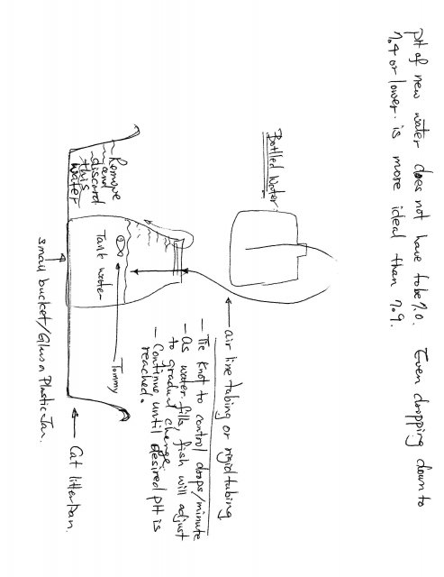 Scanned at 9-2-2010 21-24 PM.jpg