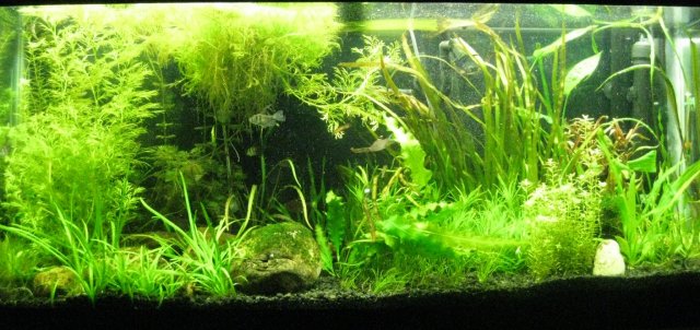 fulltank20100903.jpg