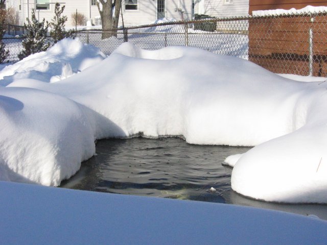 misc. pics. 099.jpg