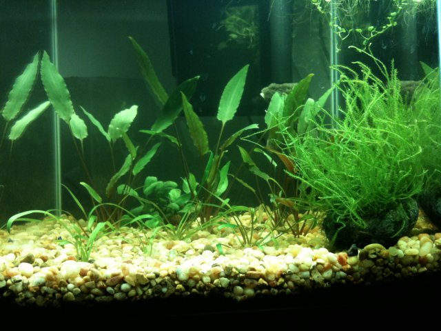 090310 iphone 055.jpg